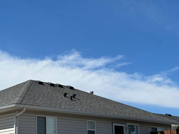 Roof Insulation in Ridgeway, VA